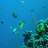 The Oasis, Marsa Alam